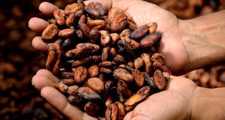 Cacao… BOIRE ou MANGER ? (Les deux !)